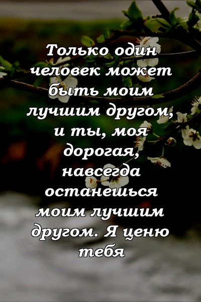 Только один человек может быть моим лучшим другом, и ты, моя дорогая, навсегда останешься моим лучшим другом. Я ценю тебя