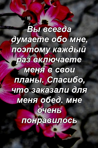 Вы всегда думаете обо мне, поэтому каждый раз включаете меня в свои планы. Спасибо, что заказали для меня обед. мне очень понравилось