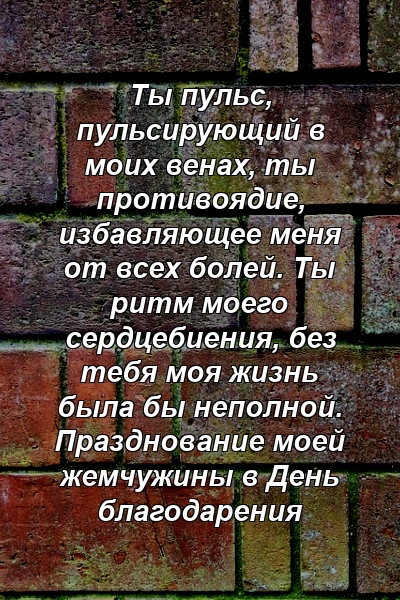 Ты пульс, пульсирующий в моих венах, ты противоядие, избавляющее меня от всех болей. Ты ритм моего сердцебиения, без тебя моя жизнь была бы неполной. Празднование моей жемчужины в День благодарения