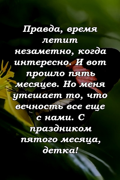 Правда, время летит незаметно, когда интересно. И вот прошло пять месяцев. Но меня утешает то, что вечность все еще с нами. С праздником пятого месяца, детка!