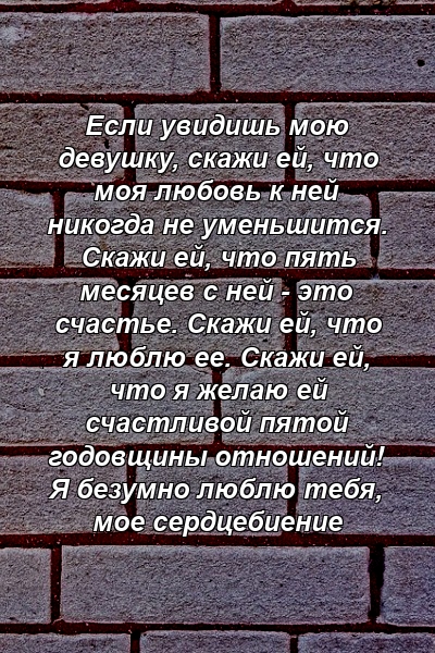 Если увидишь мою девушку, скажи ей, что моя любовь к ней никогда не уменьшится. Скажи ей, что пять месяцев с ней - это счастье. Скажи ей, что я люблю ее. Скажи ей, что я желаю ей счастливой пятой годовщины отношений! Я безумно люблю тебя, мое сердцебиение