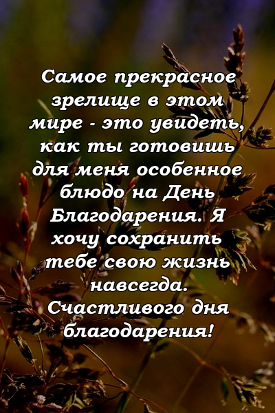 Самое прекрасное зрелище в этом мире - это увидеть, как ты готовишь для меня особенное блюдо на День Благодарения. Я хочу сохранить тебе свою жизнь навсегда. Счастливого дня благодарения!