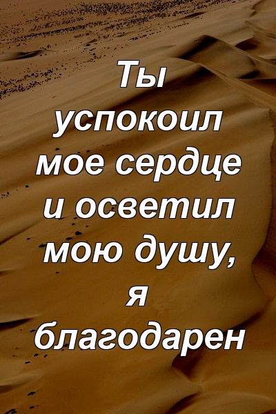 Ты успокоил мое сердце и осветил мою душу, я благодарен