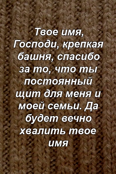 Твое имя, Господи, крепкая башня, спасибо за то, что ты постоянный щит для меня и моей семьи. Да будет вечно хвалить твое имя