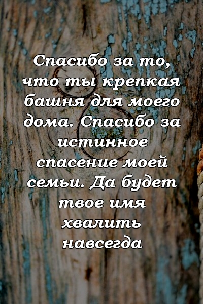 Спасибо за то, что ты крепкая башня для моего дома. Спасибо за истинное спасение моей семьи. Да будет твое имя хвалить навсегда