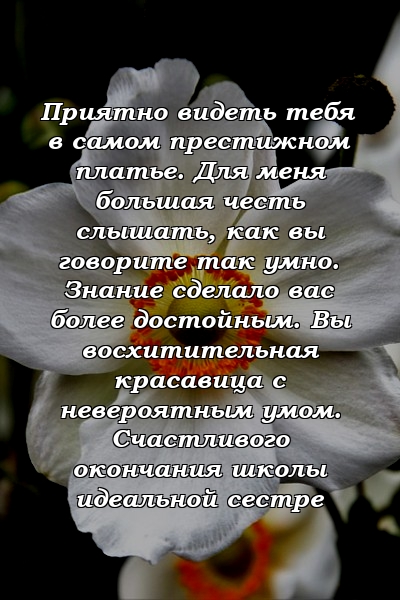 Приятно видеть тебя в самом престижном платье. Для меня большая честь слышать, как вы говорите так умно. Знание сделало вас более достойным. Вы восхитительная красавица с невероятным умом. Счастливого окончания школы идеальной сестре