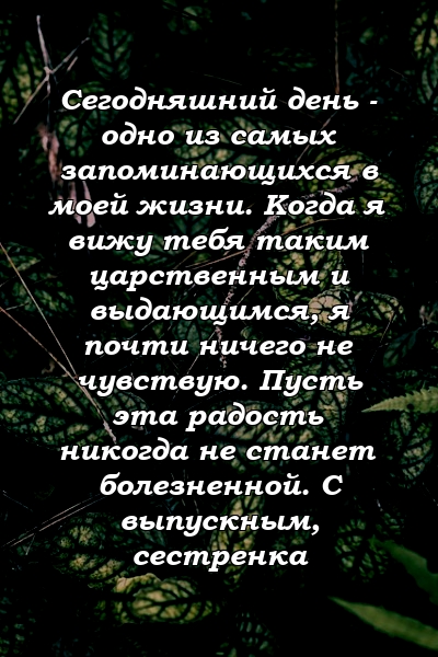 Сегодняшний день - одно из самых запоминающихся в моей жизни. Когда я вижу тебя таким царственным и выдающимся, я почти ничего не чувствую. Пусть эта радость никогда не станет болезненной. С выпускным, сестренка