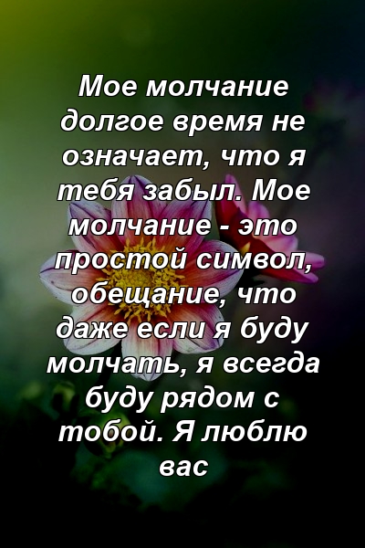 Мое молчание долгое время не означает, что я тебя забыл. Мое молчание - это простой символ, обещание, что даже если я буду молчать, я всегда буду рядом с тобой. Я люблю вас