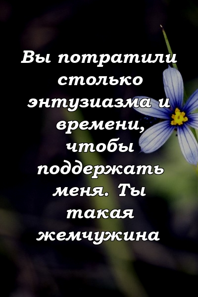 Вы потратили столько энтузиазма и времени, чтобы поддержать меня. Ты такая жемчужина