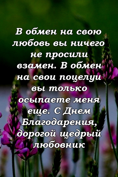 В обмен на свою любовь вы ничего не просили взамен. В обмен на свои поцелуи вы только осыпаете меня еще. С Днем Благодарения, дорогой щедрый любовник