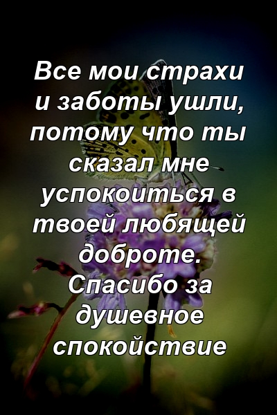 Все мои страхи и заботы ушли, потому что ты сказал мне успокоиться в твоей любящей доброте. Спасибо за душевное спокойствие