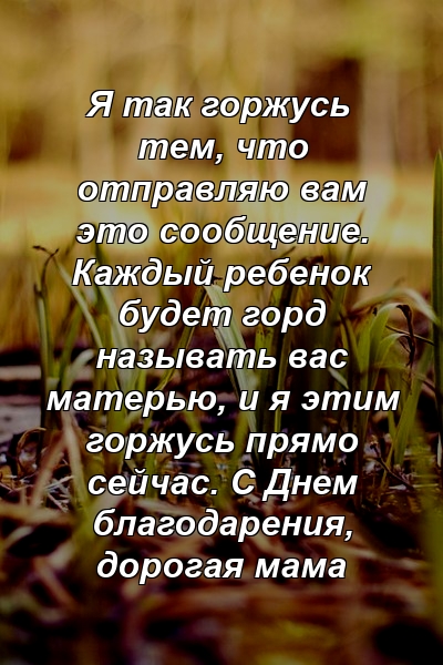 Я так горжусь тем, что отправляю вам это сообщение. Каждый ребенок будет горд называть вас матерью, и я этим горжусь прямо сейчас. С Днем благодарения, дорогая мама