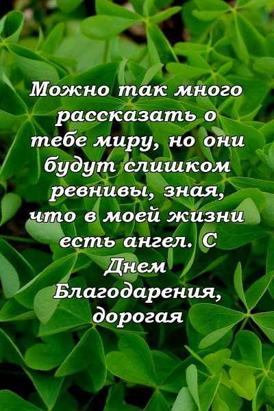 Можно так много рассказать о тебе миру, но они будут слишком ревнивы, зная, что в моей жизни есть ангел. С Днем Благодарения, дорогая