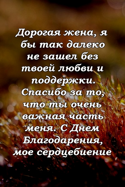 Дорогая жена, я бы так далеко не зашел без твоей любви и поддержки. Спасибо за то, что ты очень важная часть меня. С Днем Благодарения, мое сердцебиение