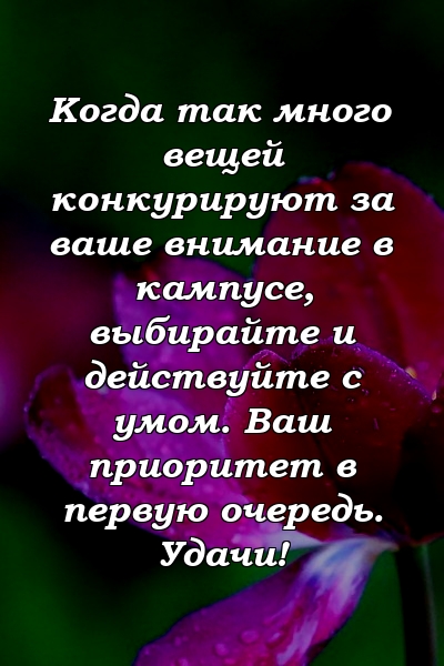 Когда так много вещей конкурируют за ваше внимание в кампусе, выбирайте и действуйте с умом. Ваш приоритет в первую очередь. Удачи!