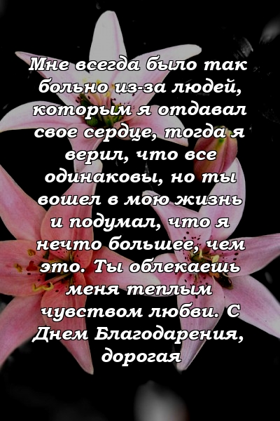 Мне всегда было так больно из-за людей, которым я отдавал свое сердце, тогда я верил, что все одинаковы, но ты вошел в мою жизнь и подумал, что я нечто большее, чем это. Ты облекаешь меня теплым чувством любви. С Днем Благодарения, дорогая