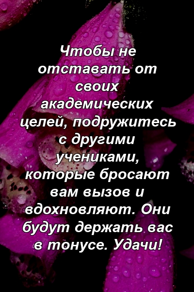 Чтобы не отставать от своих академических целей, подружитесь с другими учениками, которые бросают вам вызов и вдохновляют. Они будут держать вас в тонусе. Удачи!