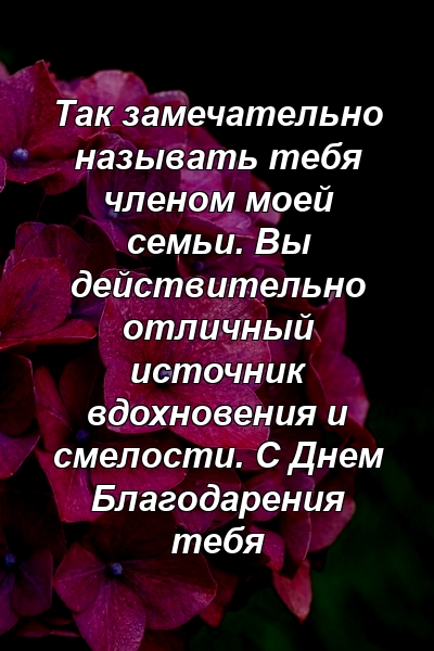 Так замечательно называть тебя членом моей семьи. Вы действительно отличный источник вдохновения и смелости. С Днем Благодарения тебя