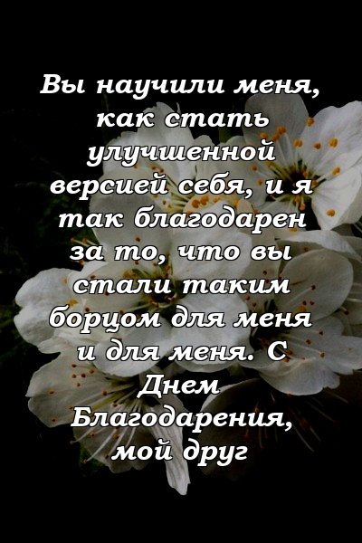 Вы научили меня, как стать улучшенной версией себя, и я так благодарен за то, что вы стали таким борцом для меня и для меня. С Днем Благодарения, мой друг