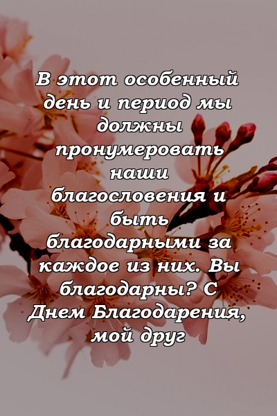 В этот особенный день и период мы должны пронумеровать наши благословения и быть благодарными за каждое из них. Вы благодарны? С Днем Благодарения, мой друг