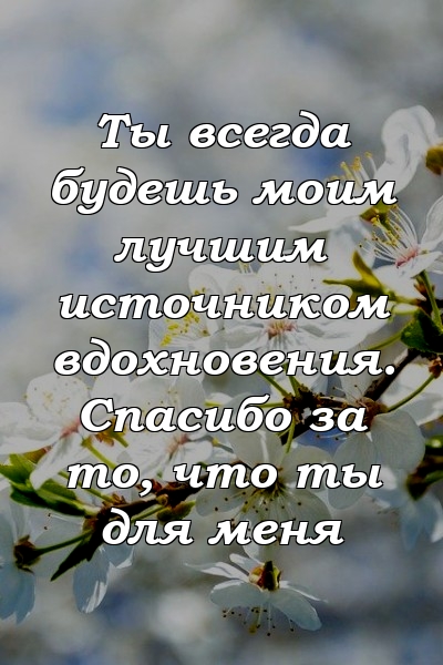 Ты всегда будешь моим лучшим источником вдохновения. Спасибо за то, что ты для меня