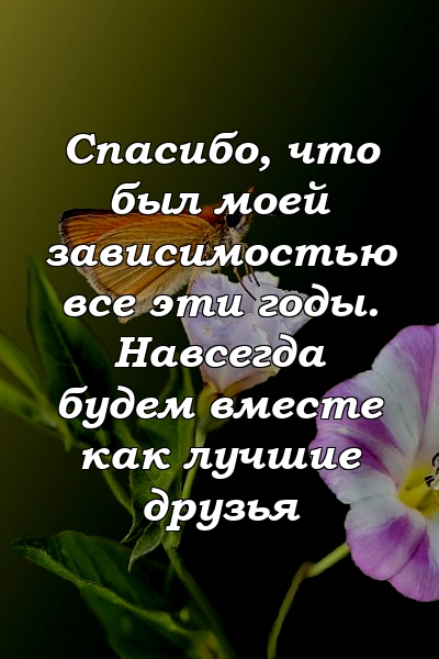 Спасибо, что был моей зависимостью все эти годы. Навсегда будем вместе как лучшие друзья