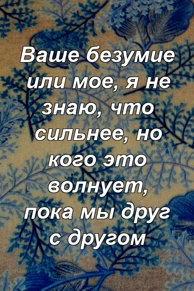 Ваше безумие или мое, я не знаю, что сильнее, но кого это волнует, пока мы друг с другом