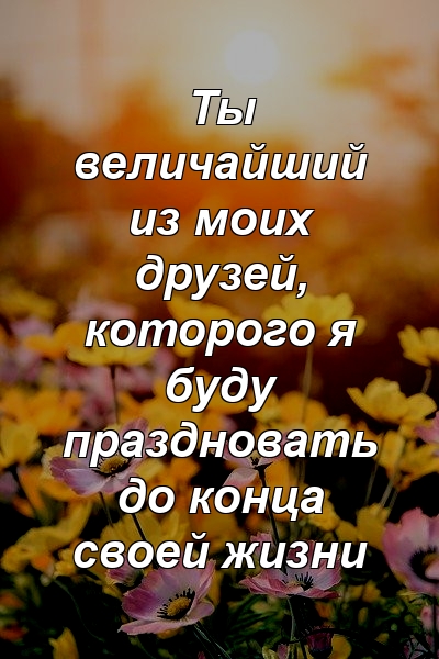 Ты величайший из моих друзей, которого я буду праздновать до конца своей жизни