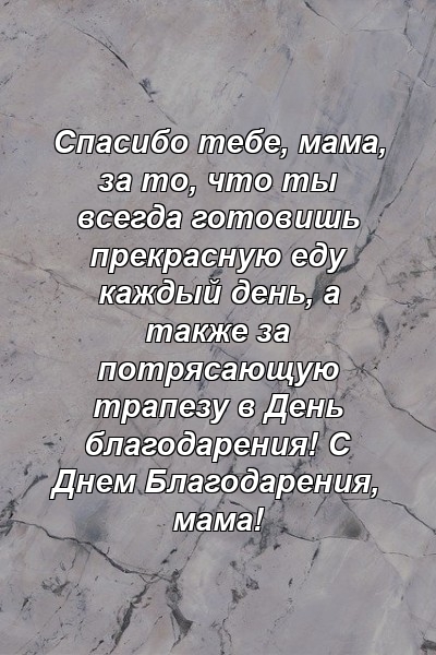 Спасибо тебе, мама, за то, что ты всегда готовишь прекрасную еду каждый день, а также за потрясающую трапезу в День благодарения! С Днем Благодарения, мама!