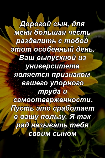 Дорогой сын, для меня большая честь разделить с тобой этот особенный день. Ваш выпускной из университета является признаком вашего упорного труда и самоотверженности. Пусть это сработает в вашу пользу. Я так рад называть тебя своим сыном