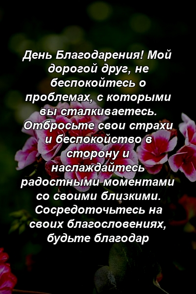 День Благодарения! Мой дорогой друг, не беспокойтесь о проблемах, с которыми вы сталкиваетесь. Отбросьте свои страхи и беспокойство в сторону и наслаждайтесь радостными моментами со своими близкими. Сосредоточьтесь на своих благословениях, будьте благодар