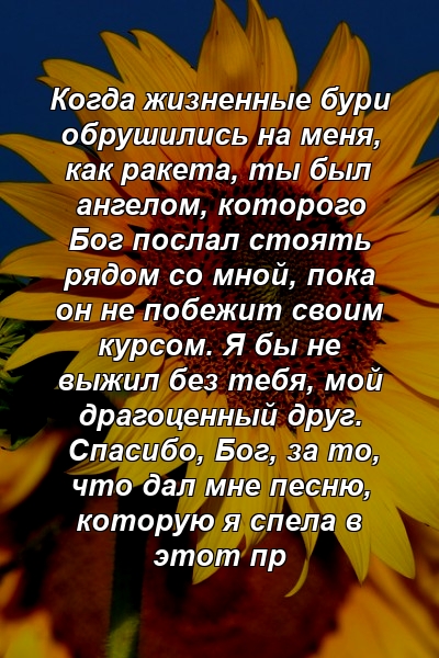 Когда жизненные бури обрушились на меня, как ракета, ты был ангелом, которого Бог послал стоять рядом со мной, пока он не побежит своим курсом. Я бы не выжил без тебя, мой драгоценный друг. Спасибо, Бог, за то, что дал мне песню, которую я спела в этот пр