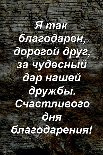 Я так благодарен, дорогой друг, за чудесный дар нашей дружбы. Счастливого дня благодарения!