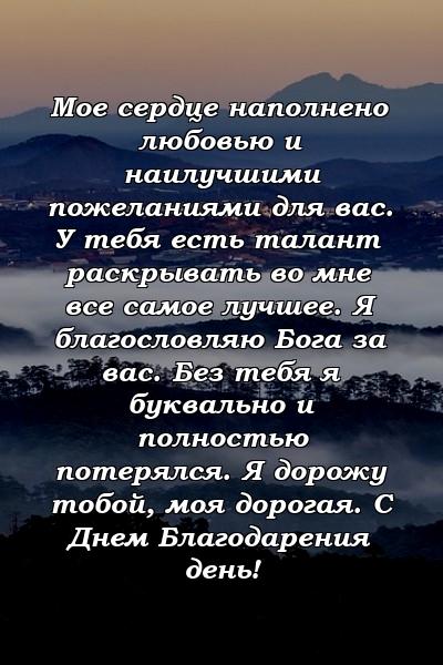 Мое сердце наполнено любовью и наилучшими пожеланиями для вас. У тебя есть талант раскрывать во мне все самое лучшее. Я благословляю Бога за вас. Без тебя я буквально и полностью потерялся. Я дорожу тобой, моя дорогая. С Днем Благодарения день!