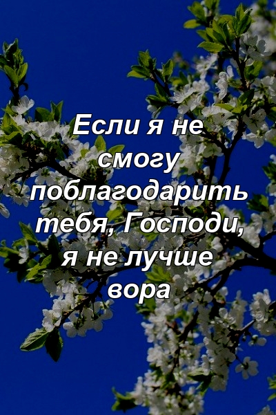 Если я не смогу поблагодарить тебя, Господи, я не лучше вора