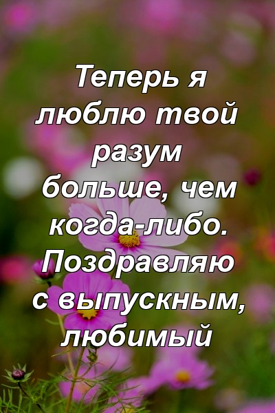 Теперь я люблю твой разум больше, чем когда-либо. Поздравляю с выпускным, любимый