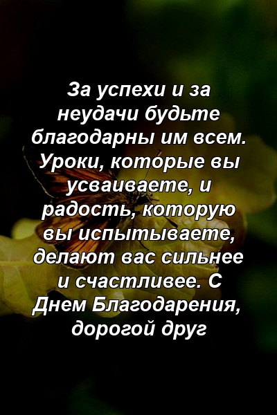 За успехи и за неудачи будьте благодарны им всем. Уроки, которые вы усваиваете, и радость, которую вы испытываете, делают вас сильнее и счастливее. С Днем Благодарения, дорогой друг