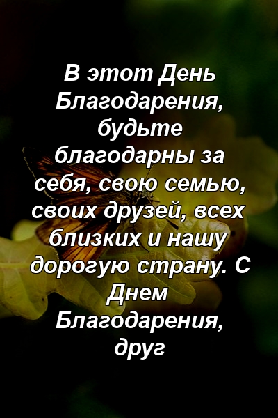 В этот День Благодарения, будьте благодарны за себя, свою семью, своих друзей, всех близких и нашу дорогую страну. С Днем Благодарения, друг