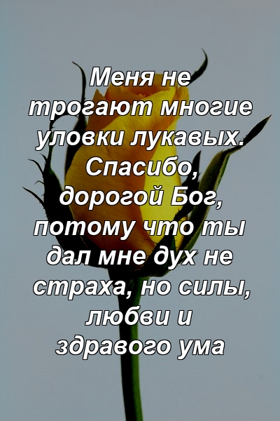 Меня не трогают многие уловки лукавых. Спасибо, дорогой Бог, потому что ты дал мне дух не страха, но силы, любви и здравого ума