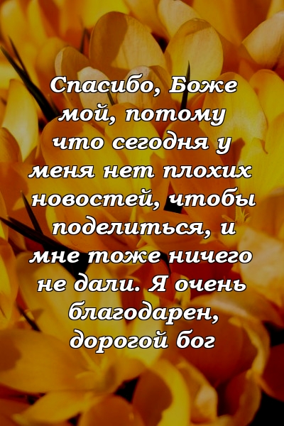 Спасибо, Боже мой, потому что сегодня у меня нет плохих новостей, чтобы поделиться, и мне тоже ничего не дали. Я очень благодарен, дорогой бог