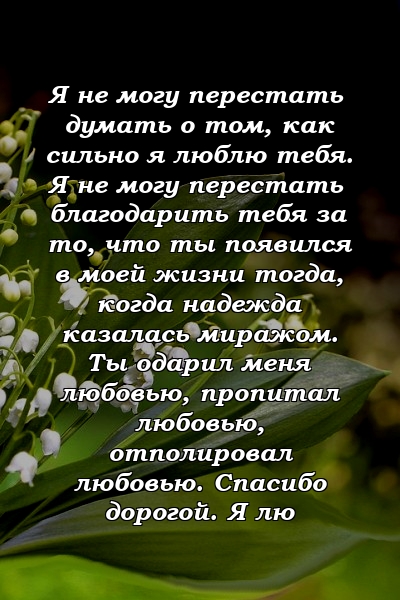 Я не могу перестать думать о том, как сильно я люблю тебя. Я не могу перестать благодарить тебя за то, что ты появился в моей жизни тогда, когда надежда казалась миражом. Ты одарил меня любовью, пропитал любовью, отполировал любовью. Спасибо дорогой. Я лю