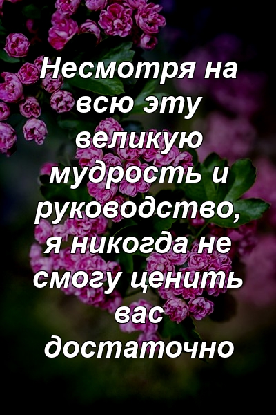 Несмотря на всю эту великую мудрость и руководство, я никогда не смогу ценить вас достаточно