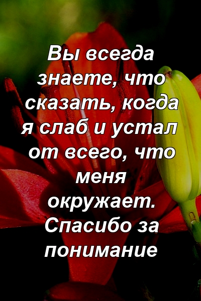 Вы всегда знаете, что сказать, когда я слаб и устал от всего, что меня окружает. Спасибо за понимание