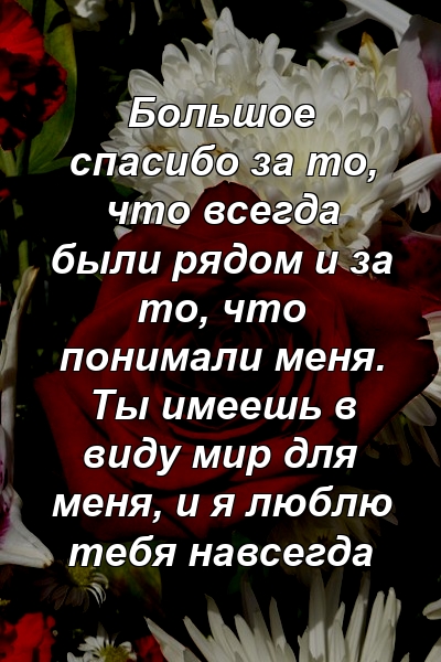 Большое спасибо за то, что всегда были рядом и за то, что понимали меня. Ты имеешь в виду мир для меня, и я люблю тебя навсегда