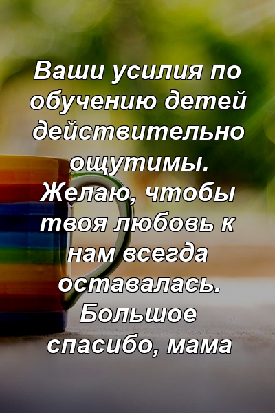 Ваши усилия по обучению детей действительно ощутимы. Желаю, чтобы твоя любовь к нам всегда оставалась. Большое спасибо, мама