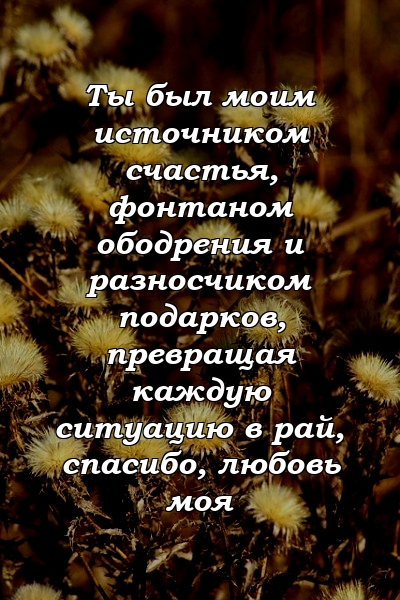 Ты был моим источником счастья, фонтаном ободрения и разносчиком подарков, превращая каждую ситуацию в рай, спасибо, любовь моя