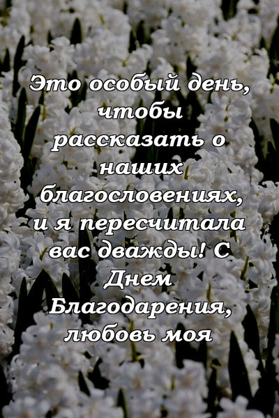 Это особый день, чтобы рассказать о наших благословениях, и я пересчитала вас дважды! С Днем Благодарения, любовь моя