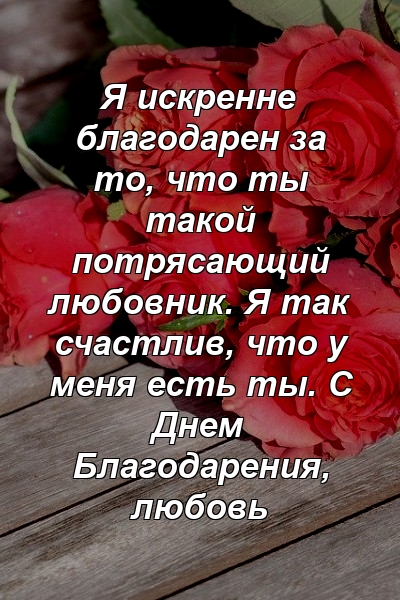 Я искренне благодарен за то, что ты такой потрясающий любовник. Я так счастлив, что у меня есть ты. С Днем Благодарения, любовь