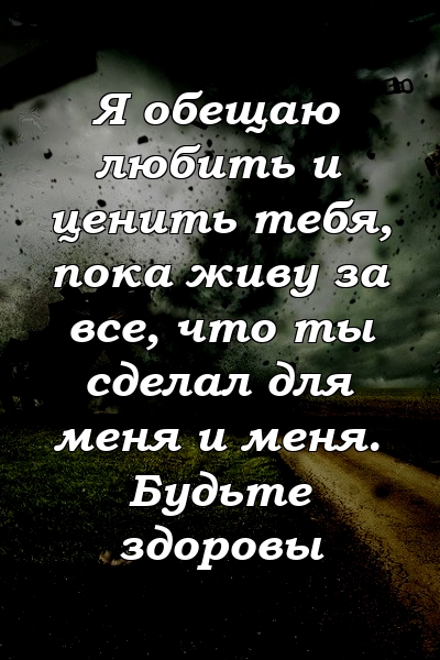 Я обещаю любить и ценить тебя, пока живу за все, что ты сделал для меня и меня. Будьте здоровы