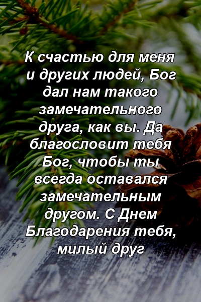 К счастью для меня и других людей, Бог дал нам такого замечательного друга, как вы. Да благословит тебя Бог, чтобы ты всегда оставался замечательным другом. С Днем Благодарения тебя, милый друг